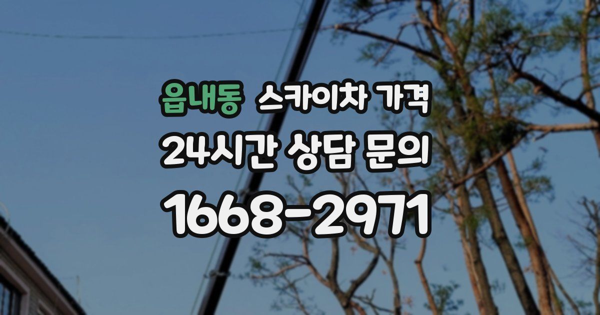 읍내동 스카이차 가격