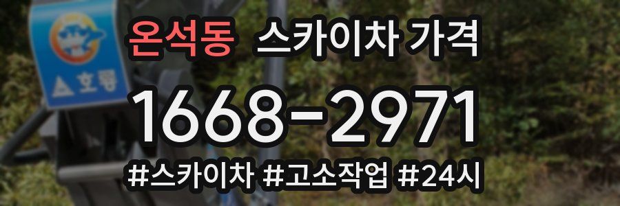 온석동 스카이차 가격