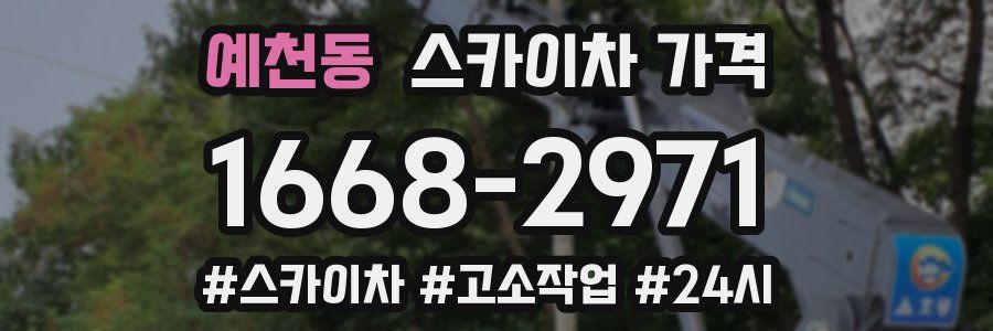 예천동 스카이차 가격