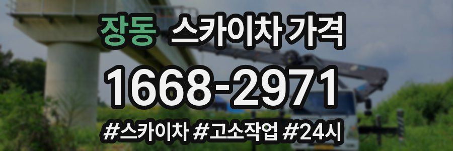 장동 스카이차 가격
