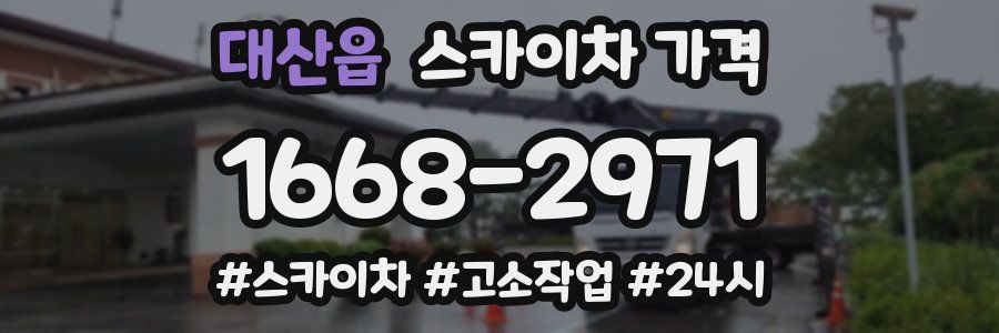 대산읍 스카이차 가격