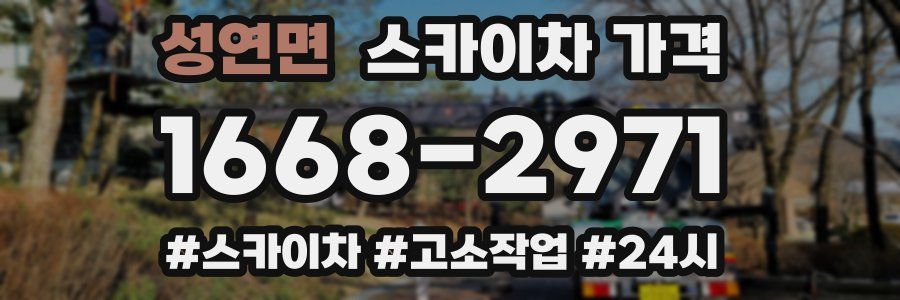 성연면 스카이차 가격