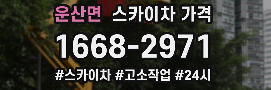 운산면 스카이차 가격