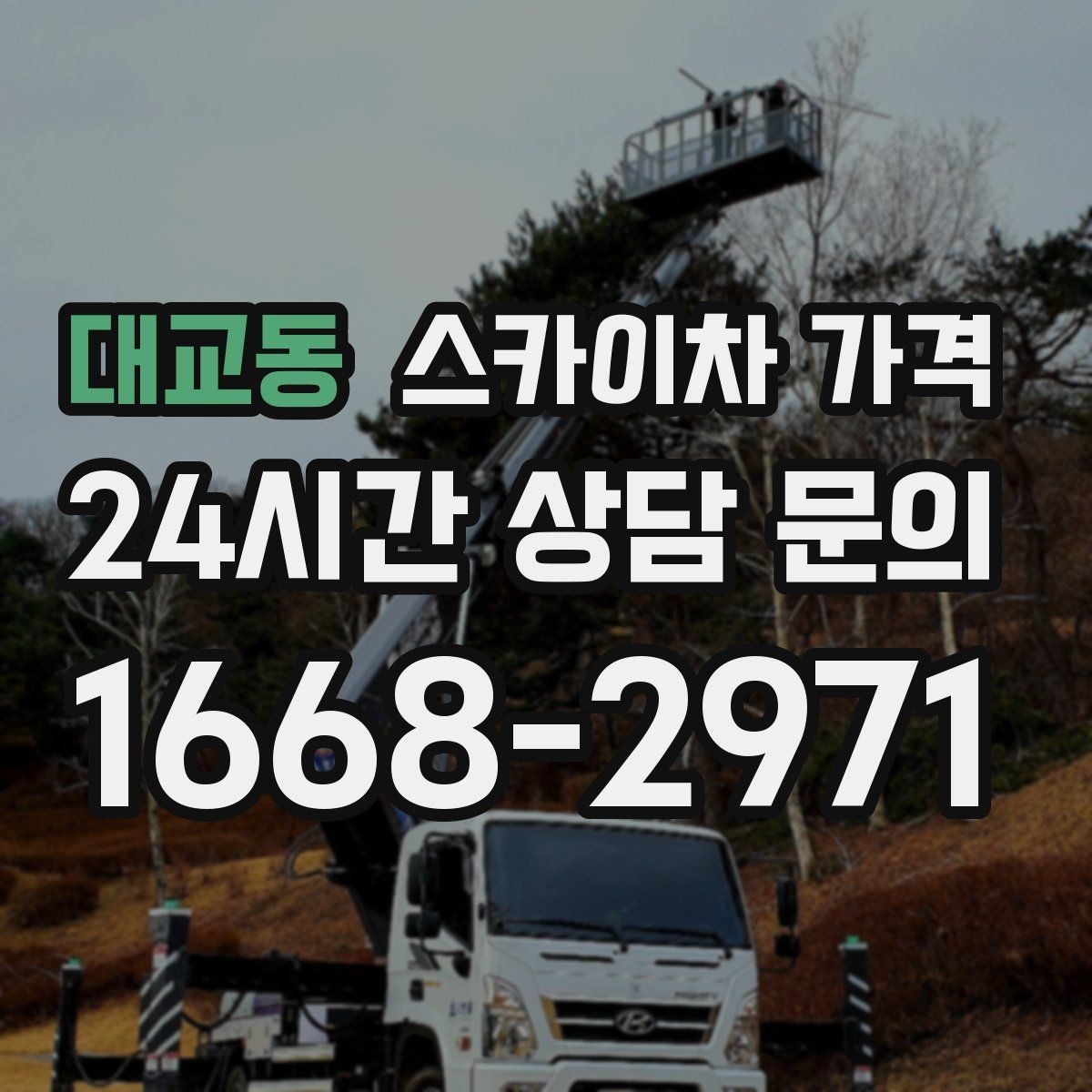 대교동 스카이차 가격 간판 스위치·배선 점검이 필요한 경우