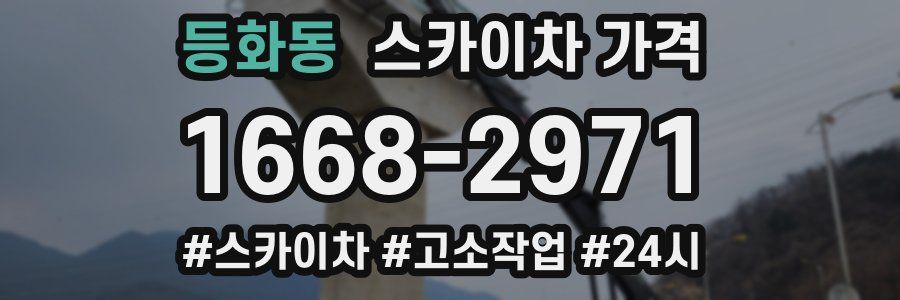 등화동 스카이차 가격