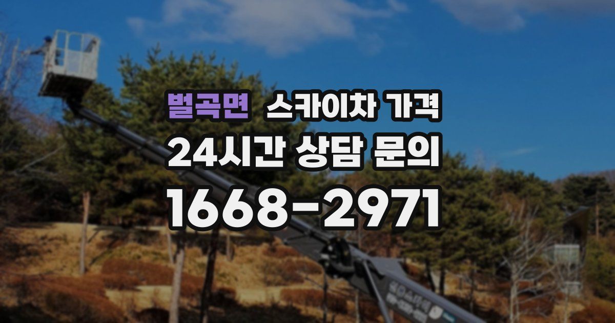 벌곡면 스카이차 가격