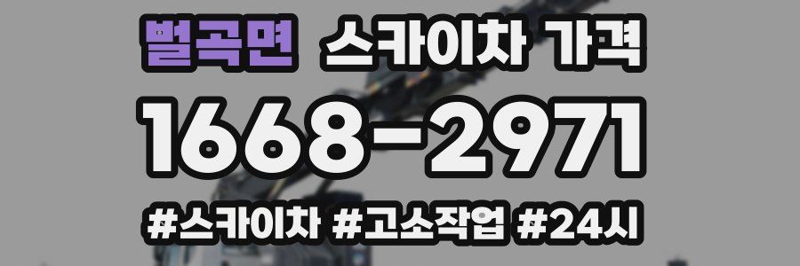 벌곡면 스카이차 가격