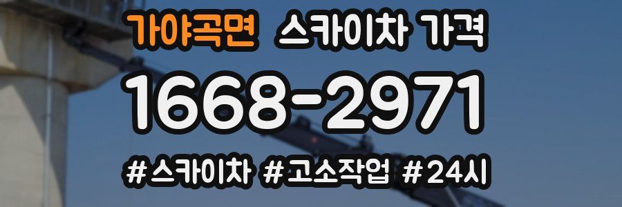 가야곡면 스카이차 가격