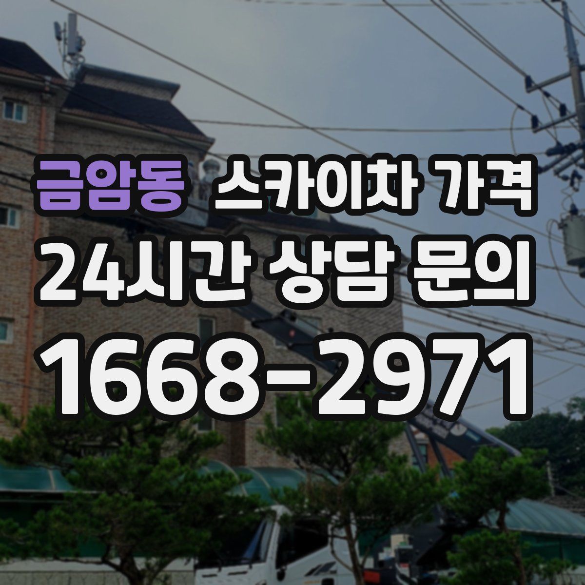 금암동 스카이차 가격