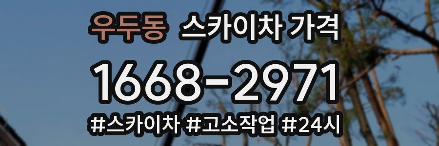 우두동 스카이차 가격