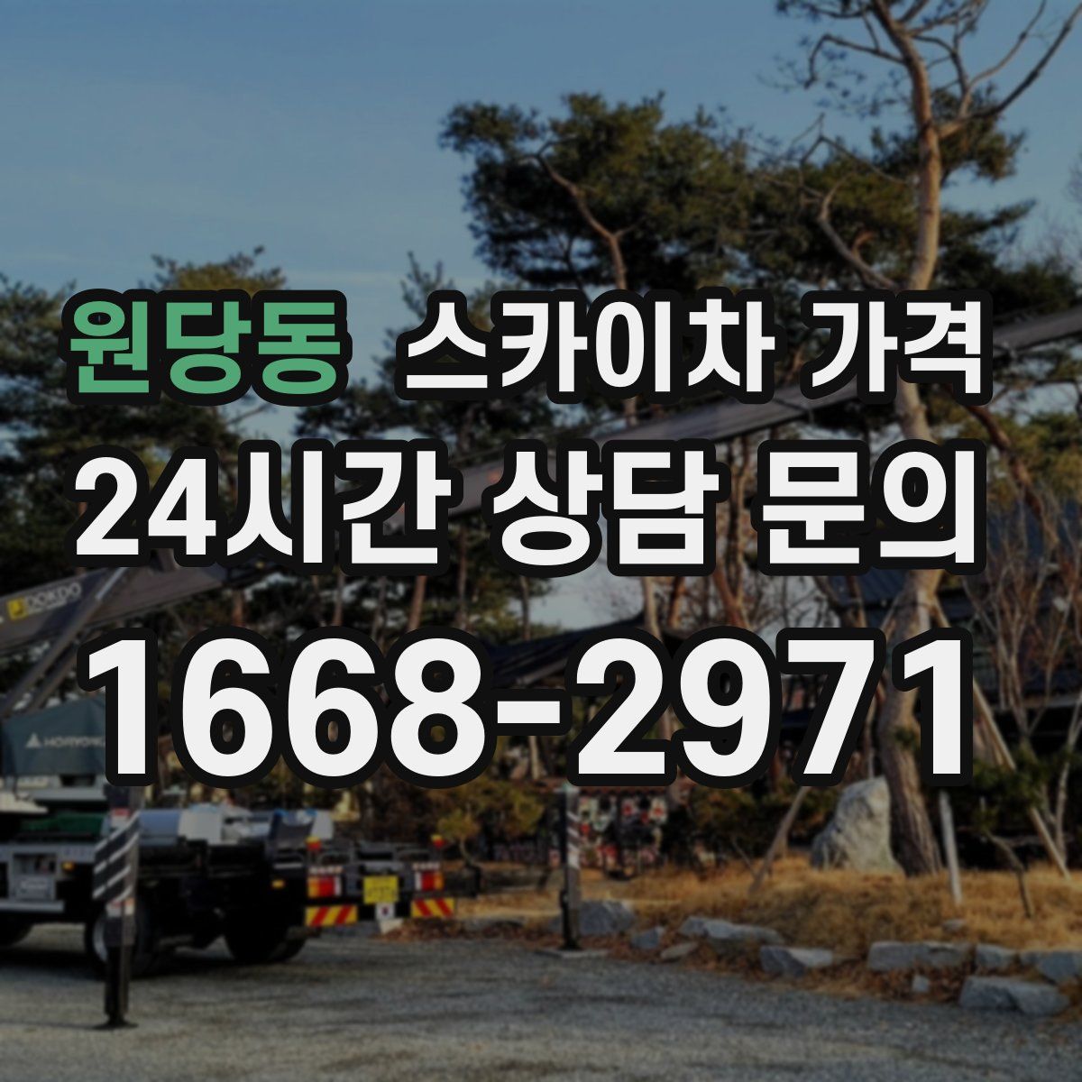 원당동 스카이차 가격