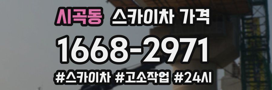 시곡동 스카이차 가격