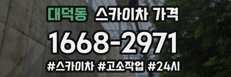 대덕동 스카이차 가격