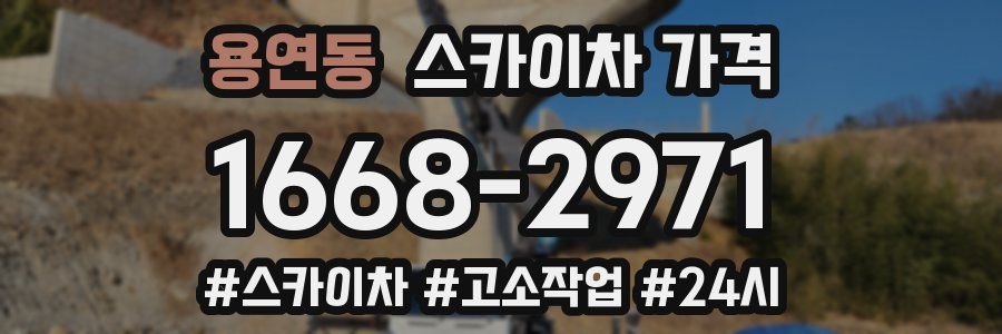 용연동 스카이차 가격