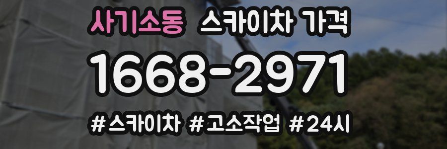 사기소동 스카이차 가격