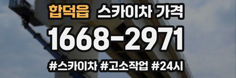 합덕읍 스카이차 가격