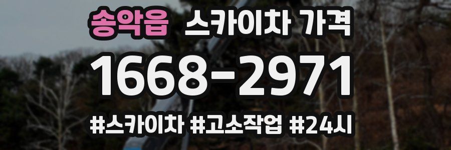 송악읍 스카이차 가격