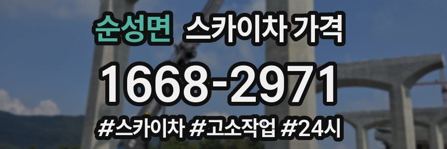 순성면 스카이차 가격