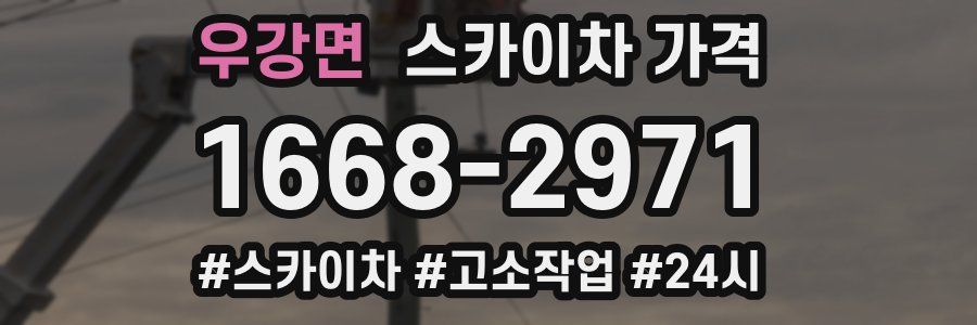 우강면 스카이차 가격