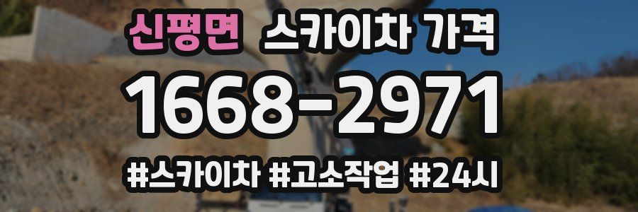 신평면 스카이차 가격