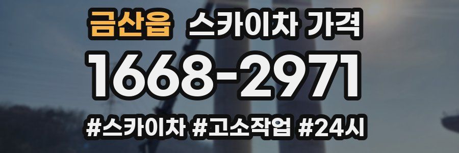 금산읍 스카이차 가격