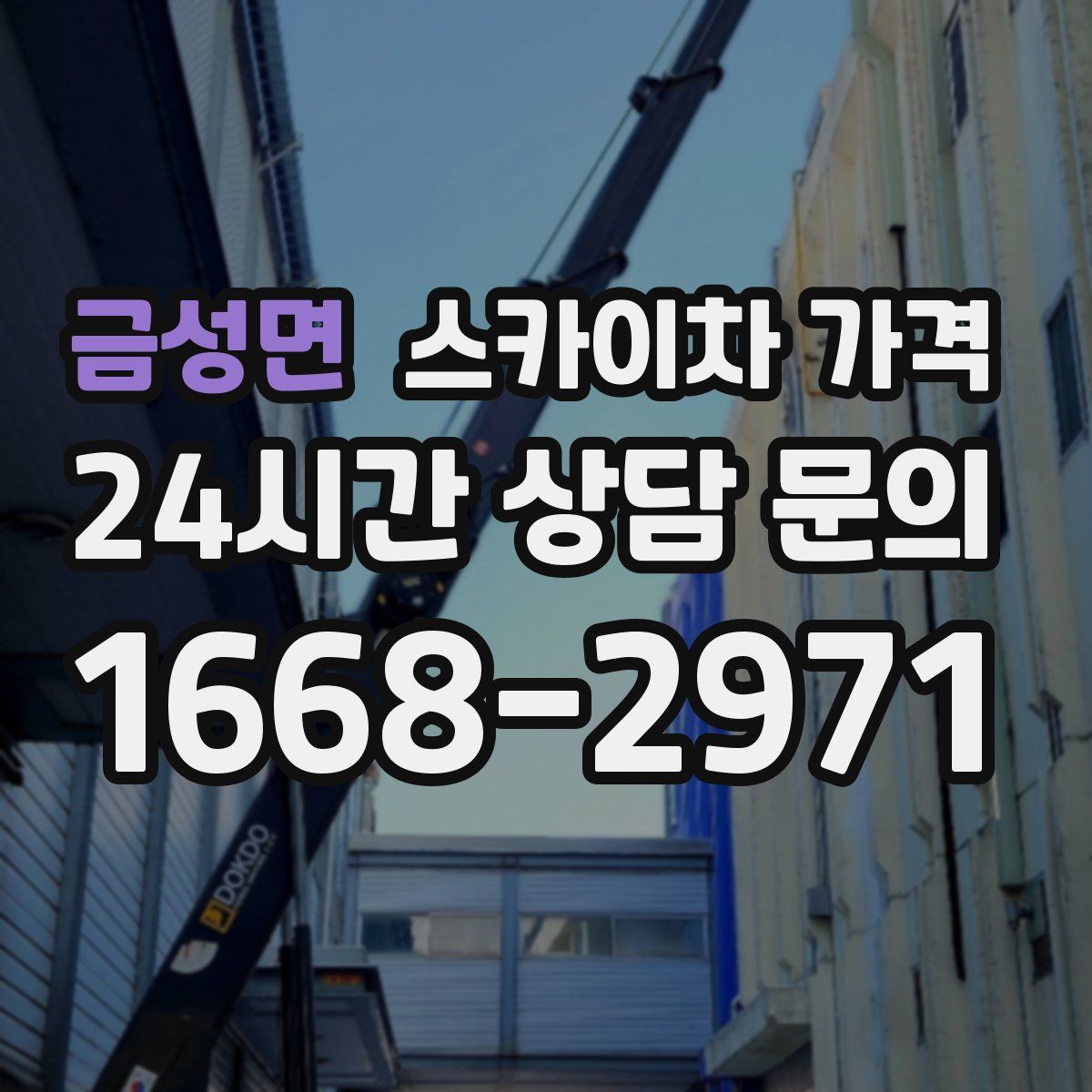 금성면 스카이차 가격