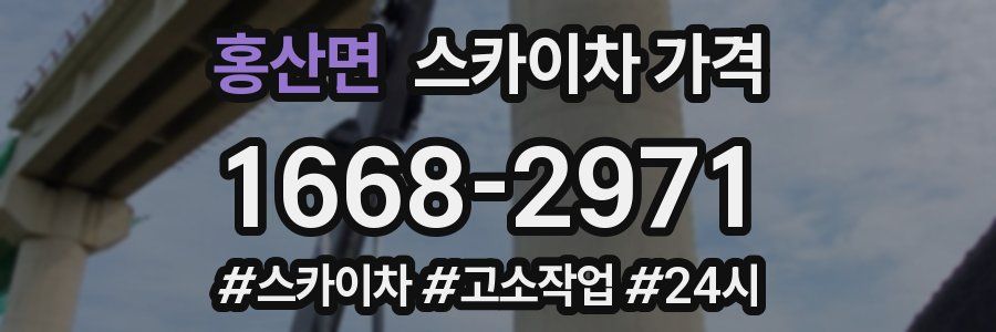 홍산면 스카이차 가격