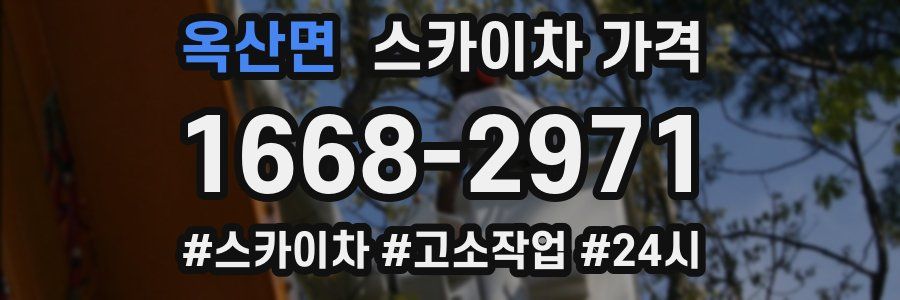 옥산면 스카이차 가격