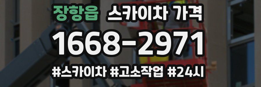 장항읍 스카이차 가격