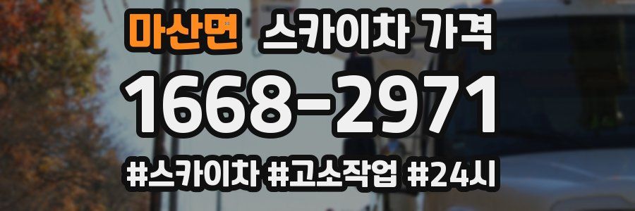 마산면 스카이차 가격