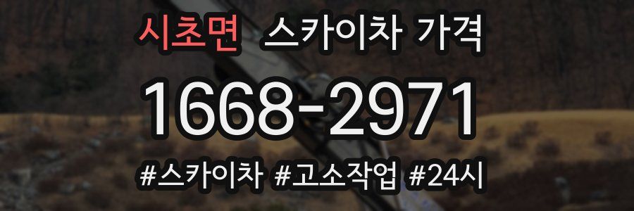 시초면 스카이차 가격