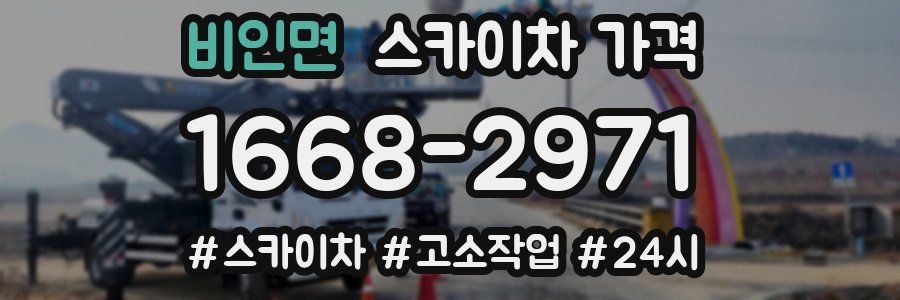 비인면 스카이차 가격