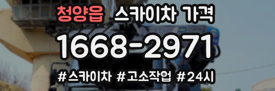 청양읍 스카이차 가격