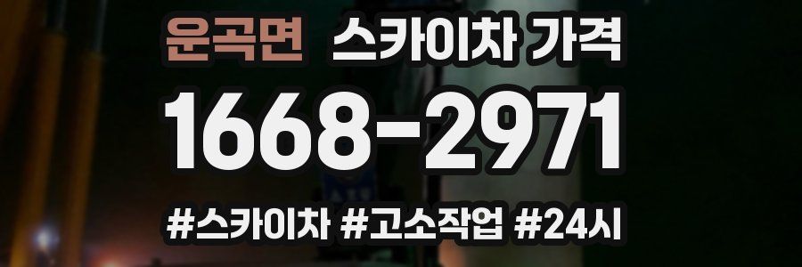 운곡면 스카이차 가격