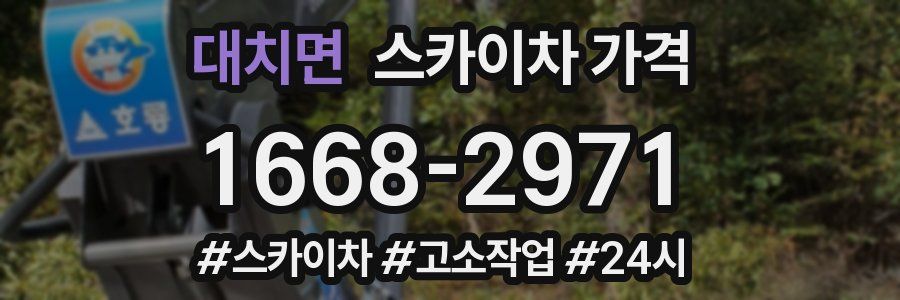 대치면 스카이차 가격