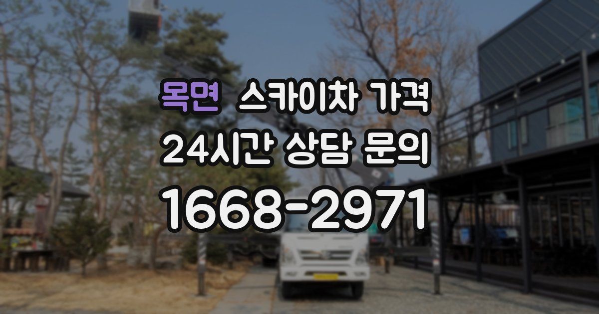 목면 스카이차 가격