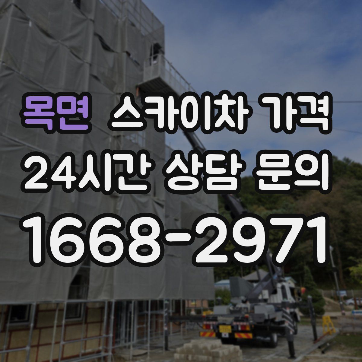 목면 스카이차 가격