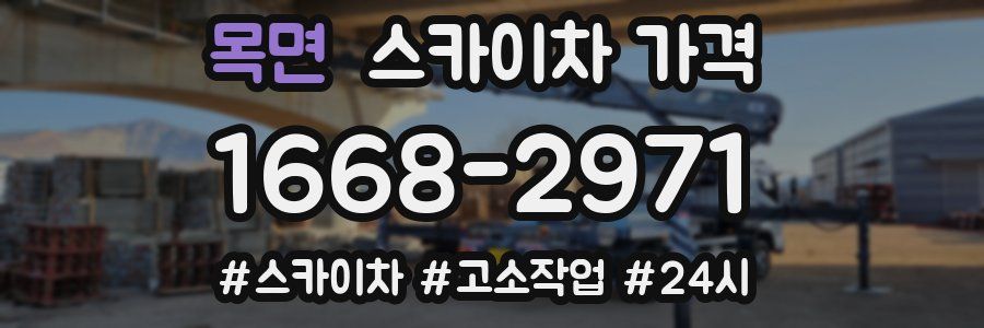 목면 스카이차 가격