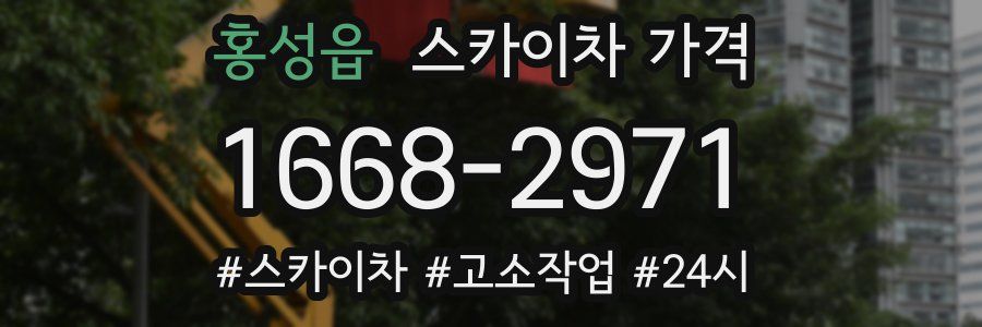 홍성읍 스카이차 가격