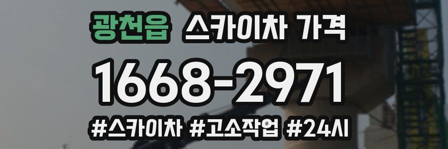 광천읍 스카이차 가격