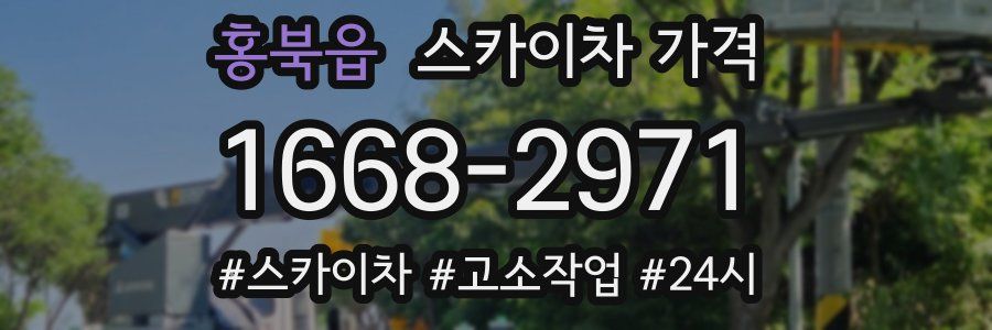홍북읍 스카이차 가격