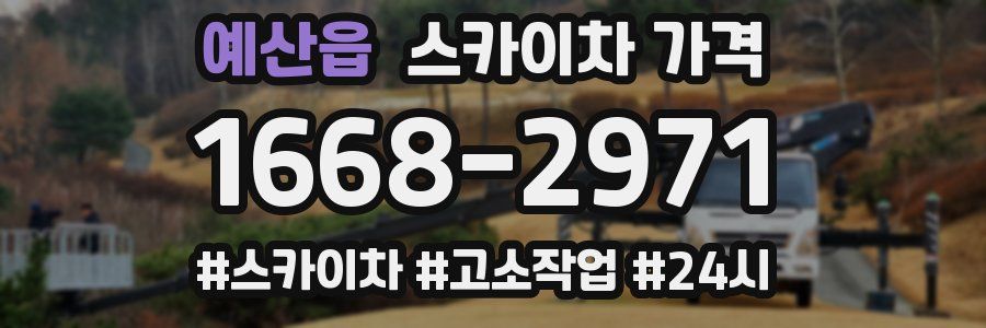 예산읍 스카이차 가격