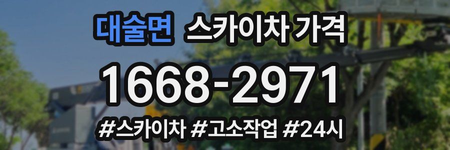 대술면 스카이차 가격