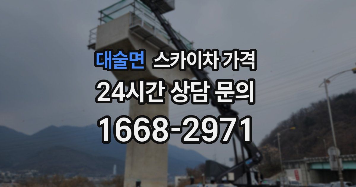 대술면 스카이차 가격