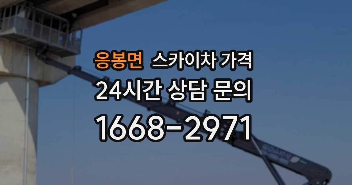 응봉면 스카이차 가격