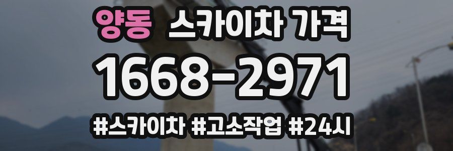 양동 스카이차 가격