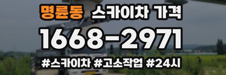 명륜동 스카이차 가격