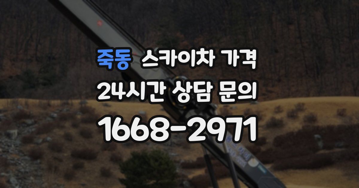 죽동 스카이차 가격