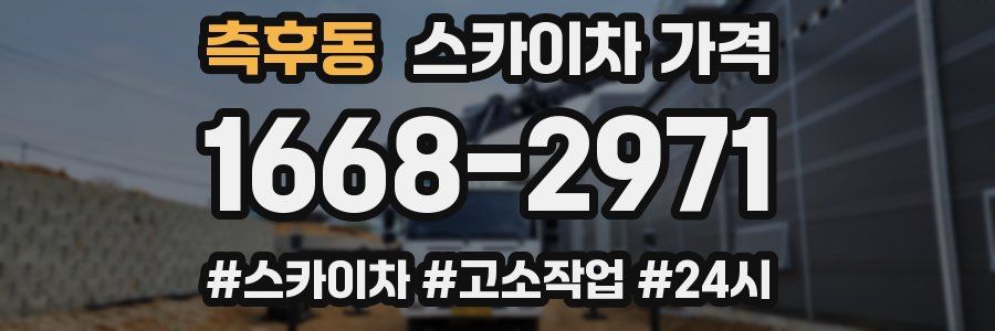 측후동 스카이차 가격