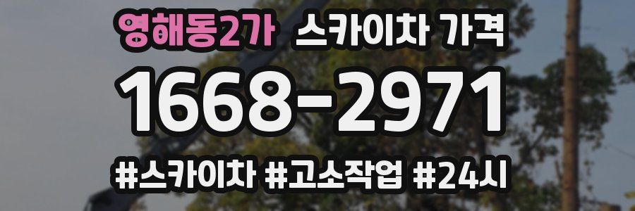 영해동2가 스카이차 가격